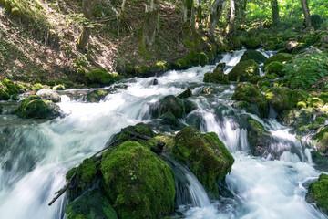 Cascade river in Montenegro.