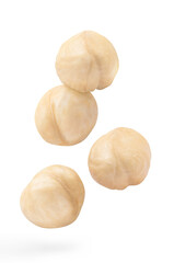 Flying purified hazelnuts, isolated on white background
