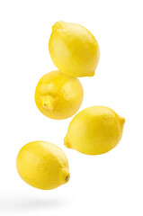 Flying delicious lemon fruits, isolated on white background