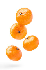 Delicious tangerines, isolated on white background	