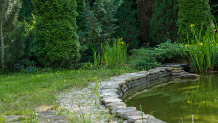 Small garden pond with many decorative plants. Nature concept for design. Small pond on a summer day in the garden.