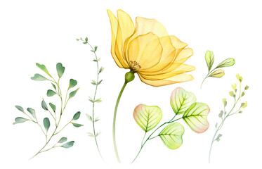 Watercolor floral set. Collection of yellow transparent rose, leaves and branches. Hand painted isolated design elements. Botanical illustration for summer wedding design, greeting cards