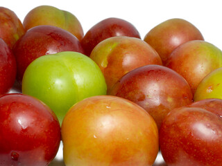 Plums for tkemali sauce. Several cherry plum fruits of varying degrees of ripeness. Plum variety. Juicy fruit. Healthy diet.