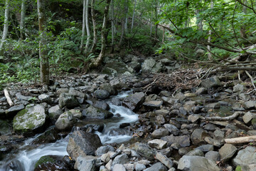 福島桧枝岐村の渓流