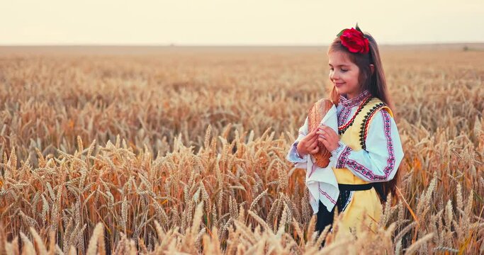 Beautiful girl woman in traditional Bulgarian folklore dress holding homemade bread in wheat field, agriculture and homegrown food concept