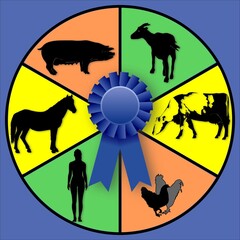 Blue ribbon at the fair for the best breeders: mare, sow, cow, nanny goat, chicken, woman