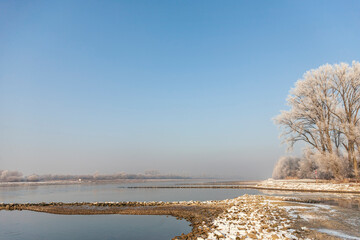 Winter am Rhein