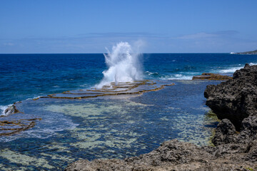 blow hole geyser along shore of Tonga