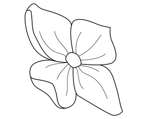 Hydrangea flower, one flower from the inflorescence of a plant - a vector linear picture for a sign, logo or coloring book. Outline. Hydrangea flower, plant element for coloring