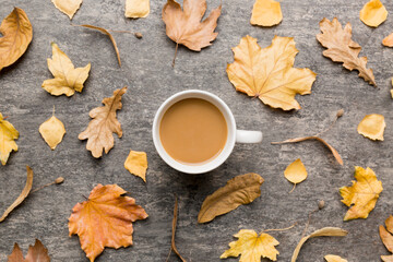 Cup of cocoa with autumn leaves abstract still life top view vith copy space