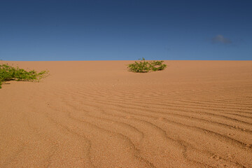 Patterns and textures of the dunes in the desert