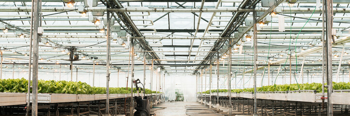 light greenhouse and the production of fruits and vegetables.. Web banner