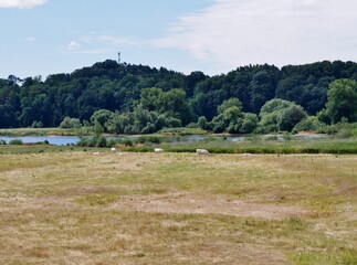 Elbtalauen im Wendland