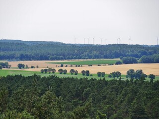Elbtalaue im Wendland