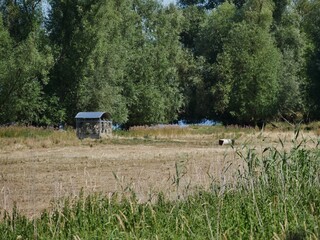 Elbtalauen im Sonnenlicht