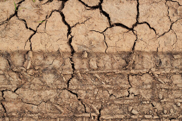 dry and cracked ground with car track