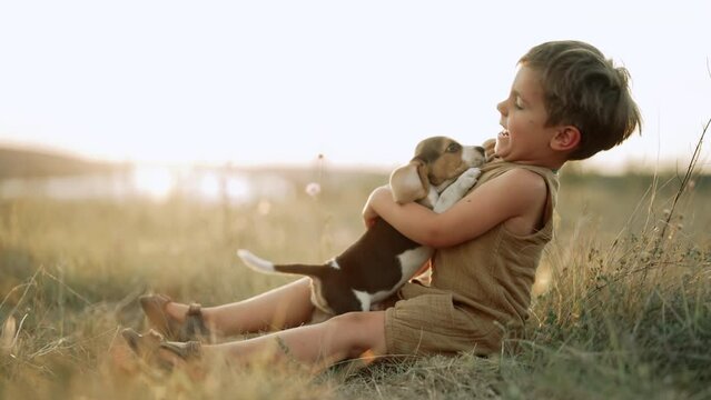 Cute little boy playing with beagle puppy on countryside nature background. Child stroking, training dog. Happy lovely pet, new member of family. 
