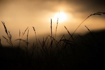 Obraz premium banner of mountain peaks in beautiful sunset light