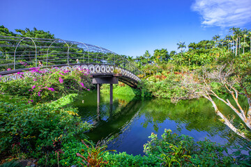 Fototapeta premium 沖縄の花々