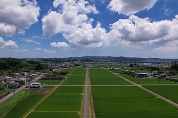田舎_水田_空撮