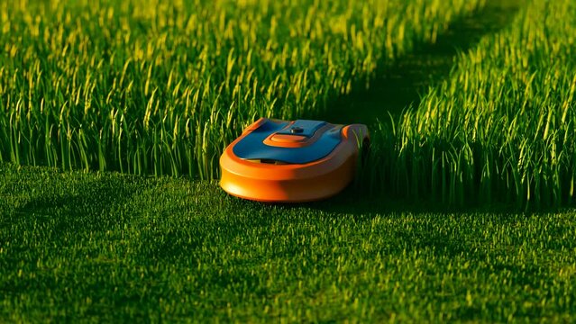 A lawn robot in the middle of the grass yard. Robotic lawnmower cutting grass.