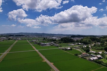 Obraz premium 田舎_水田_空撮