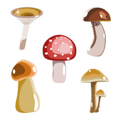 Vector illustration with different types of mushrooms in flat technique isolated on a white background 