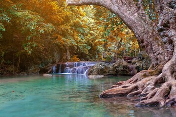 Waterfall with tree in autumn beautiful nature 