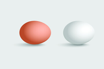 raw eggs in white background illustration design