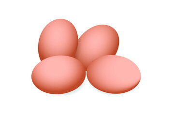 raw eggs in white background illustration design