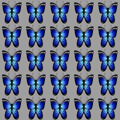 Obraz na płótnie Canvas set of butterflies pattern 