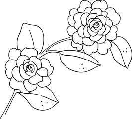 handrawn flower line art