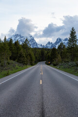 Fototapeta na wymiar Scenic Road surrounded by Mountains and Trees in American Landscape. Spring Season. Grand Teton National Park. Wyoming, United States. Nature Background.