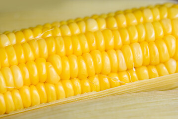 cooked sweet corn background, ripe corn cobs steamed or boiled sweetcorn for food vegan dinner or snack
