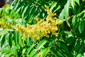 The landscape of Portland Lighthouse in Cape Elizabeth, Maine, USA	
