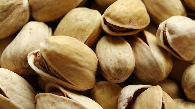 Pistachio nuts. Many pistachio nuts