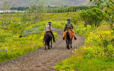 People are riding horses at countryside, Iceland