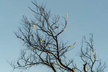 Winter landscape with tree trunks and branches in the ice