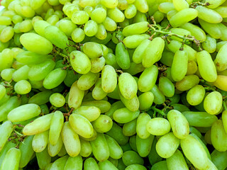 Full frame of green grape background backdrop. grapes agricultural concept.