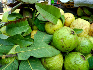 fresh juicy and healthy sweet guava fruit with leaves