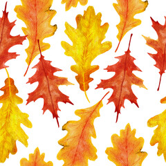 Fototapeta premium Watercolor hand drawn seamless pattern with red orange yellow fall autumn leaves, maple oak vine leaf. October september thanksgiving background with forest wood berries.