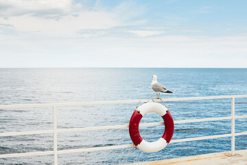 A seagull sits on a life preserver. The Black Sea waterfront. Front view.