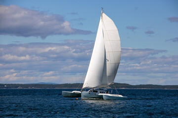 sailboat on the sea