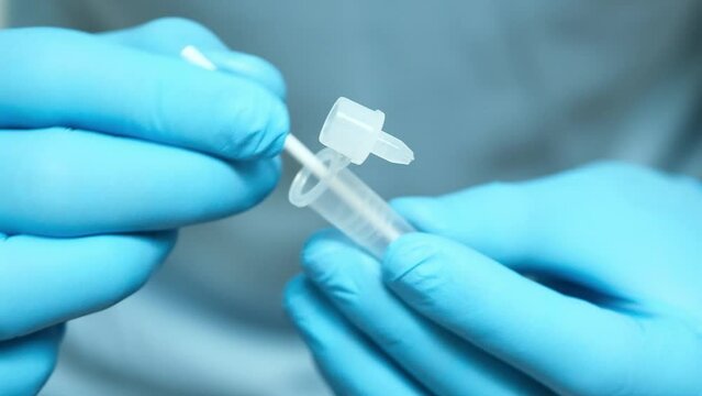 Doctor holds a COVID-19 swab collection, wears blue gloves and a PPE protective  and carries a test tube to collect the OP NP and test coronavirus.