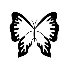 Graphic black Butterfly isolated on white background. Vector illustration