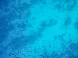 Natural water texture with air bubbles. Turquoise clean aqua background. View of the sea depth through the glass