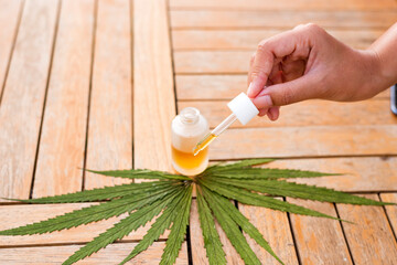 Doctor hand hold cannabis oil, Research of hemp oil extracts for medical purposes