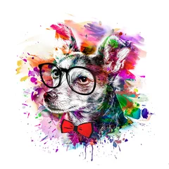 Fotobehang abstract colored dog muzzle isolated on colorful background art © reznik_val
