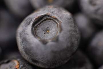 blueberry berries closeup background for cooking fruits summer