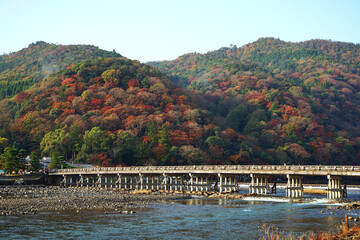 Fototapeta na wymiar Togetsukyo Bridge and beautiful colorful leaves in the Autumn Season at Arashiyama, Kyoto, Japan.